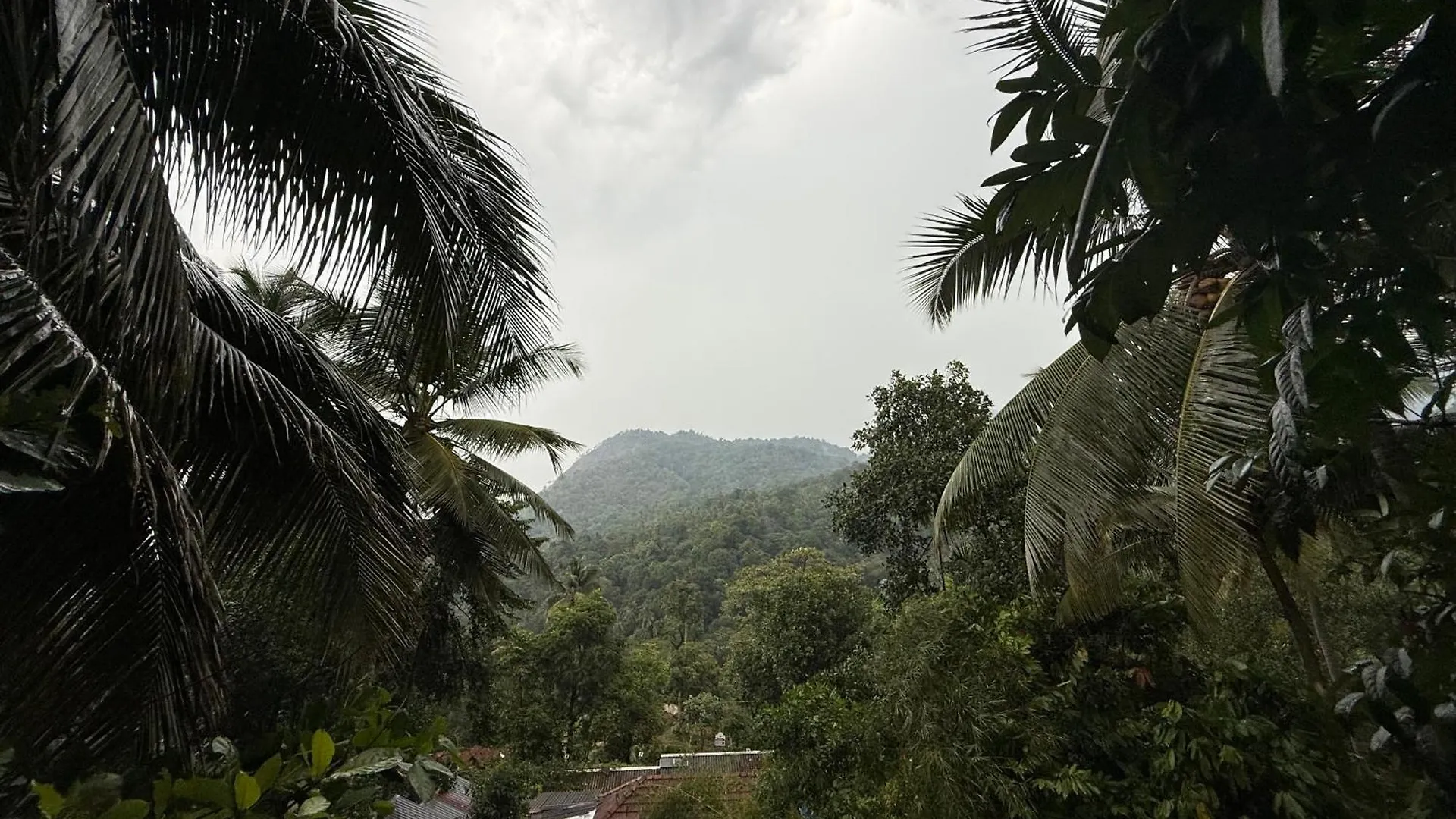 Bed & Breakfast Johns Village Resorts Vallikavungal